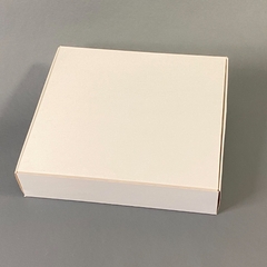 CAJA CATERING 28x26x7 en internet