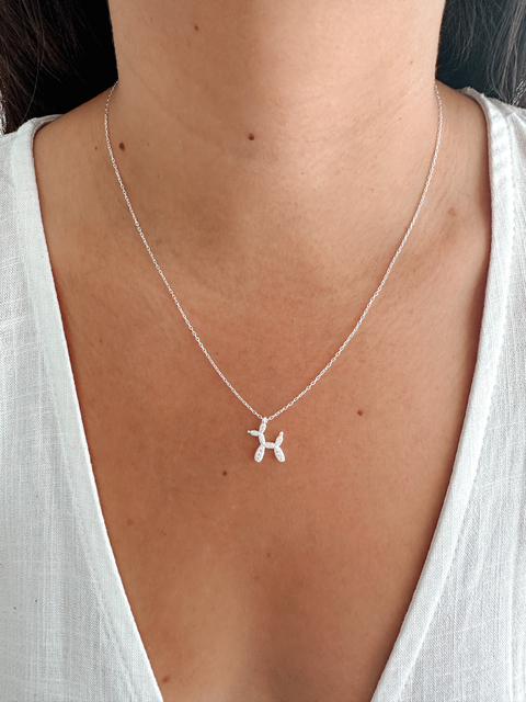 Perrito de globo (40 a 45 cm)