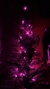 Pisca fixo 10m com 100 Leds; Fio verde; Rosa 110V M/F - Tecnnoled - Artigos para decoração e comunicação visual em Led