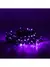 Pisca Pisca Fixo 10m C/100 Leds; Fio Verde; roxo 220v M/f - comprar online