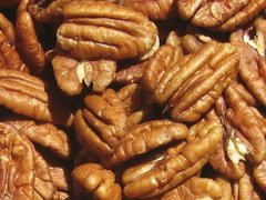 Nueces Pecan