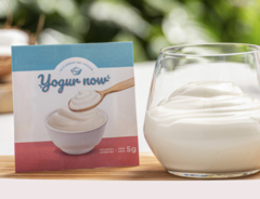 Iniciador de yogur