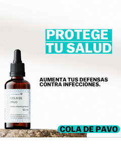 Imagen de Cultivamente - Extracto hongos adaptogenos