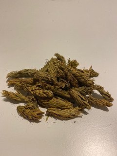 Cola de quirquincho