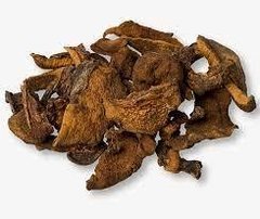 Hongos secos de pino - chilenos