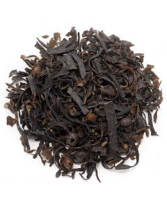 Fucus