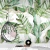 TROPICAL N° 102