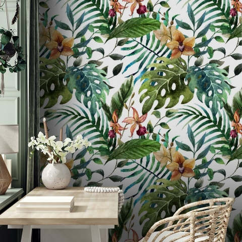 TROPICAL N° 111