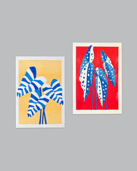 Kit Prints Filodendro e Begônia - comprar online