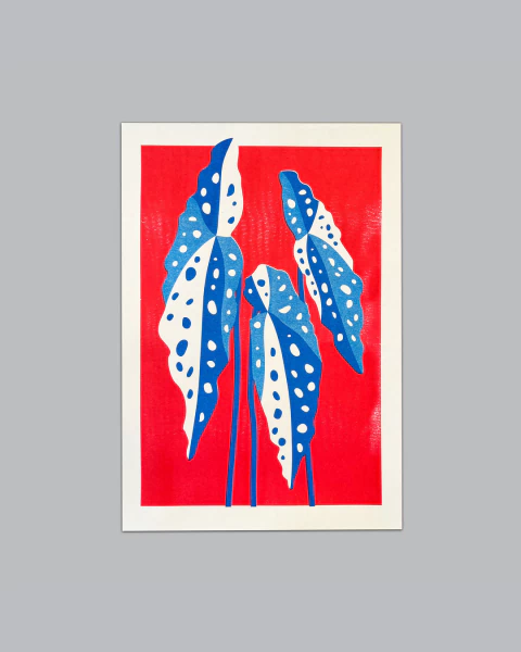 Print Begônia - comprar online