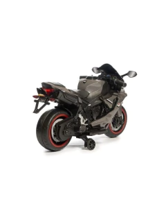 MOTO LOVE BATERIA 12v (LO3001) en internet