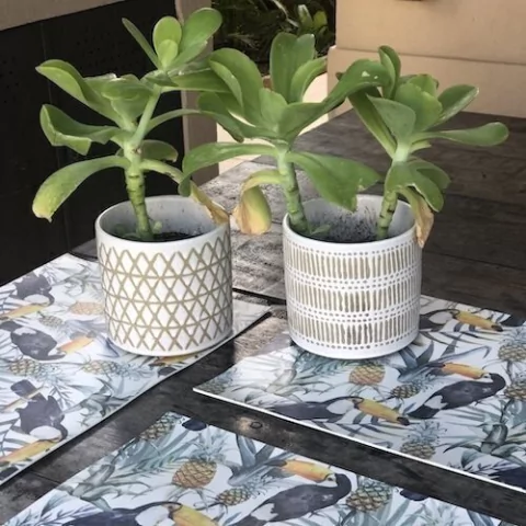 Florero / Maceta "Cruz"