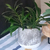 Florero / Maceta FEMB - comprar online