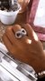 ANILLO INTY