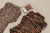 BODY MICHELI - comprar online