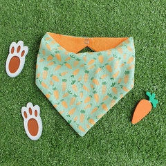 Babador Bandana Cenoura - comprar online