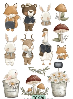 TRANSFER COLOR 020 CHIC