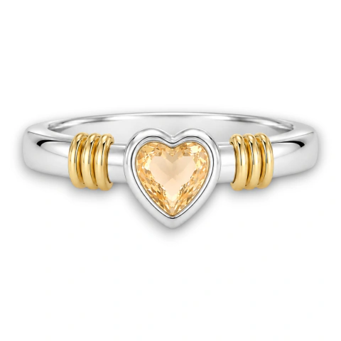 Anillo ANPO1337