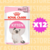 Royal Canin Pouch Kitten 12 Unidades