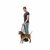 Andador Para Perros XL 70Kg en internet