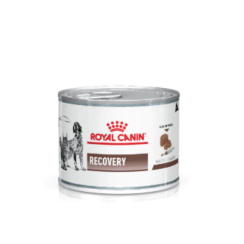 Royal Canin Latas Recovery 24 Unidades