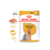 Royal Canin Pouch Yorkshire Adulto