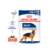 Royal Canin Pouch Maxi Adulto