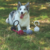 Juguete Pelota Mpets Coto Loop Negro en internet
