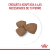 Royal Canin Perro Mini Puppy 1 Kg - Casper Pet Store