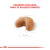 Royal Canin Bulldog Francés Puppy 3Kg en internet