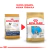 Royal Canin Bulldog Francés Puppy 3Kg - comprar online