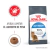 Royal Canin Light Weight Care Gato 7.5Kg - comprar online