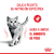 Royal Canin Light Weight Care Gato 7.5Kg - Casper Pet Store