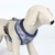 Vital Fun Arnes Premium Perro M/L SI Verano - Casper Pet Store