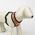 Vital Fun Arnes Premium Perro S/M SW Invierno en internet