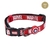 Vital Fun Collar Premium Perro XS/S MV Verano