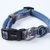 Vital Fun Collar Premium Perro XS/S SI Verano - Casper Pet Store