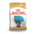 Royal Canin Dachshund Puppy 1Kg