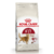 Royal Canin Fit 32 7.5Kg