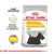 Royal Canin Mini Dermacomfort 1Kg en internet
