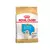 Royal Canin Golden Retriever Puppy 12Kg - comprar online