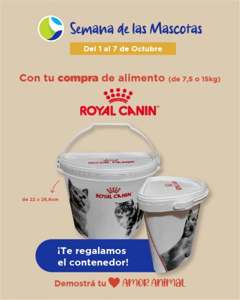 Carrusel 1