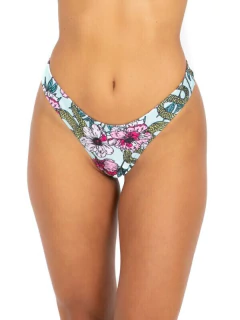 COLALESS CLASICA (2404)