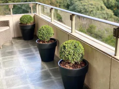 Paisajismo para Balcones y Terrazas