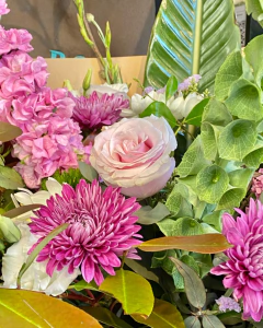 Ramo Alucinante en internet