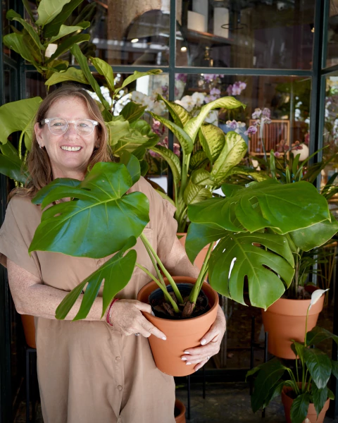 Macetas Terracota - comprar online