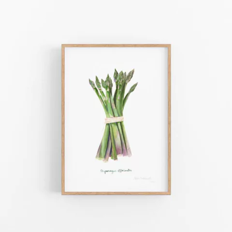 Gravura "Verdura de Deus" - sob encomenda