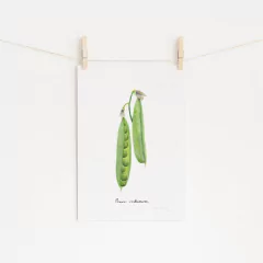 Gravura "Princesa" - sob encomenda - comprar online