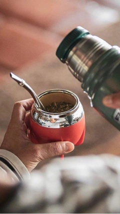 Mate Pampa - Low Cost