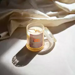 Vela de Soja - Lab - Low Cost